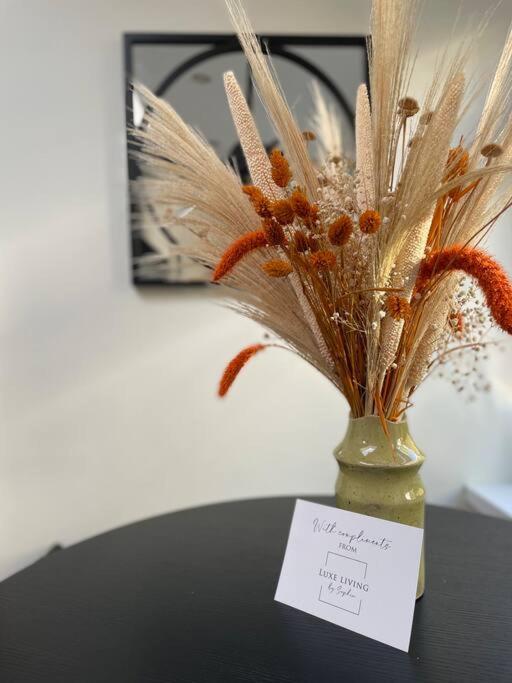 New Luxury For 2024 - Central Plymouth House - Sleeps 10 - Access To Plymouth Town - Close To The Barbican - Pets Welcome - Parking Available - By Luxe Living By Sophia Dış mekan fotoğraf